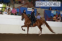 09r12-07463 proof