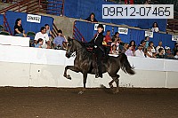 09r12-07465 proof