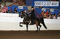 09r12-07468 proof