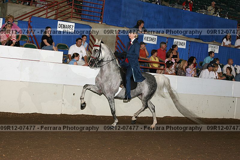 Proof 09r12-07477