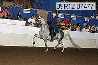 09r12-07477 proof