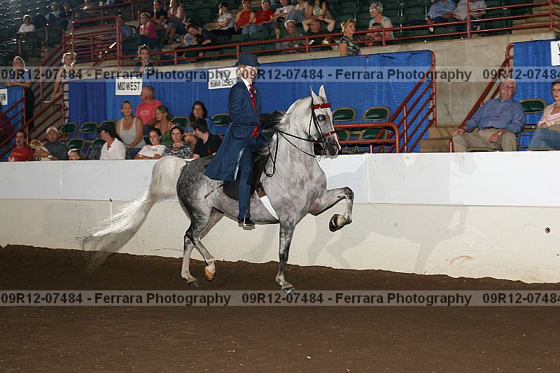 Proof 09r12-07484