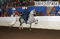 09r12-07484 proof