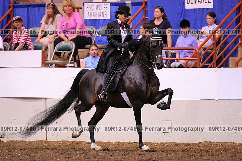 Proof 09r12-07486