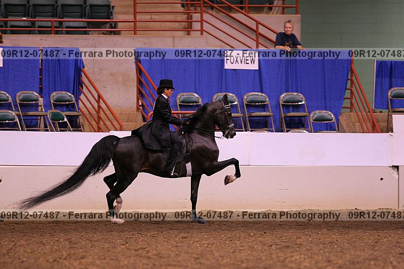 Proof 09r12-07487