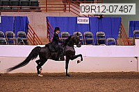 09r12-07487 proof