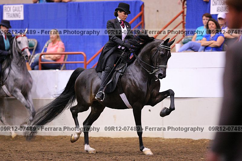 Proof 09r12-07489
