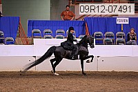 09r12-07491 proof