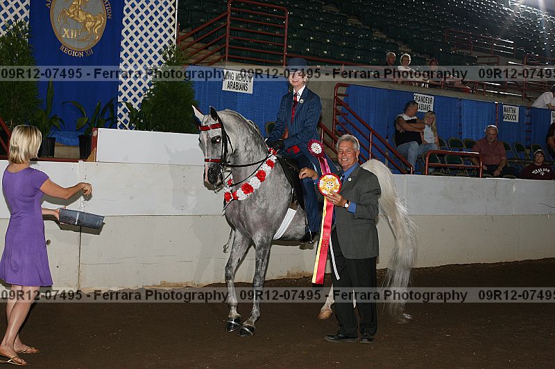 Proof 09r12-07495