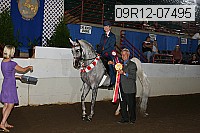 09r12-07495 proof