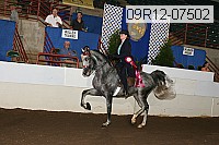 09r12-07502 proof