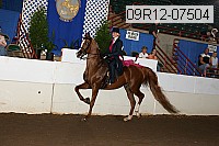 09r12-07504 proof