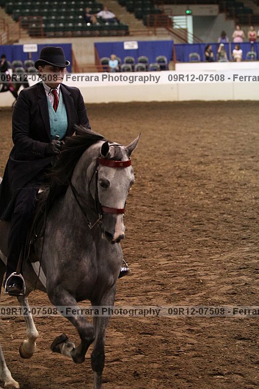 Proof 09r12-07508