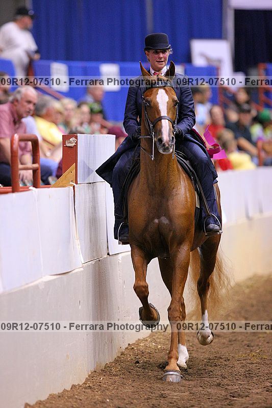 Proof 09r12-07510
