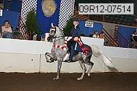 09r12-07514 proof