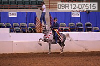 09r12-07515 proof