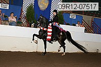 09r12-07517 proof