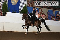 09r12-07650 proof