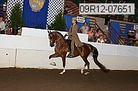 09r12-07651 proof