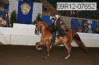 09r12-07652 proof