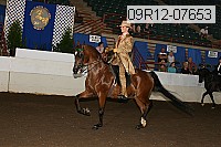 09r12-07653 proof
