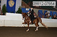 09r12-07654 proof