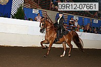 09r12-07661 proof