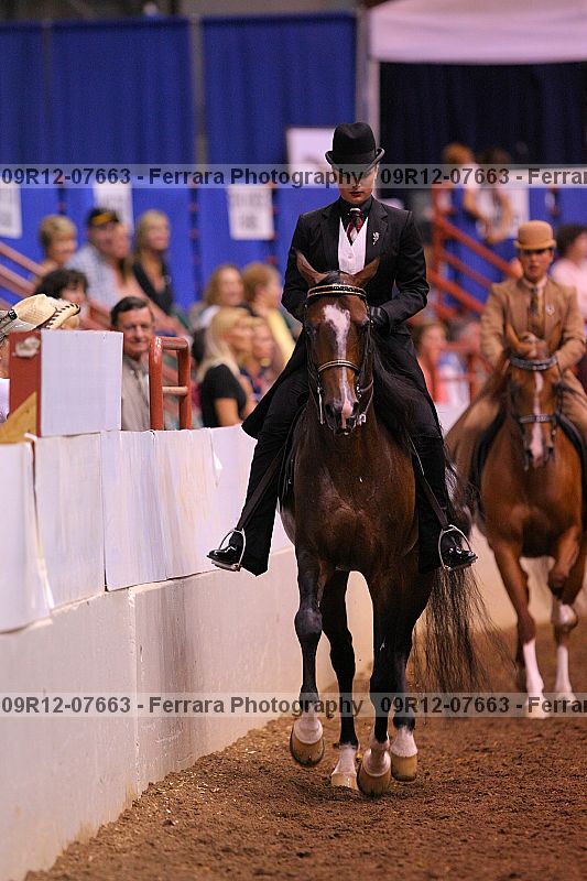 Proof 09r12-07663