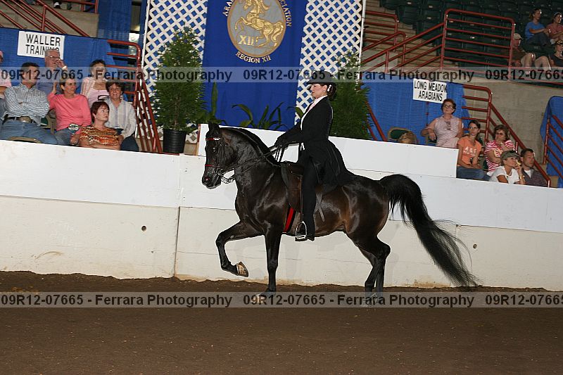 Proof 09r12-07665