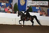 09r12-07665 proof