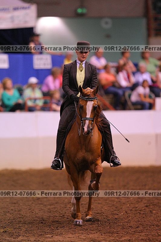 Proof 09r12-07666