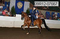 09r12-07667 proof