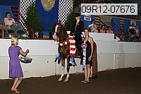 09r12-07676 proof