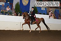 09r12-07678 proof