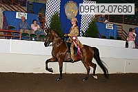 09r12-07680 proof