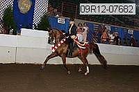 09r12-07682 proof