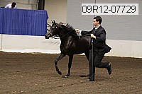 09r12-07729 proof