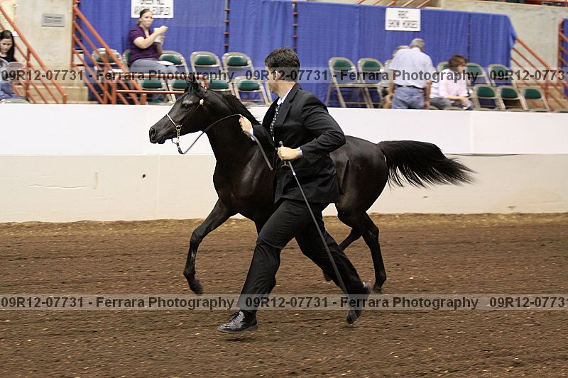 Proof 09r12-07731