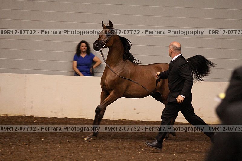 Proof 09r12-07732