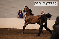 09r12-07732 proof
