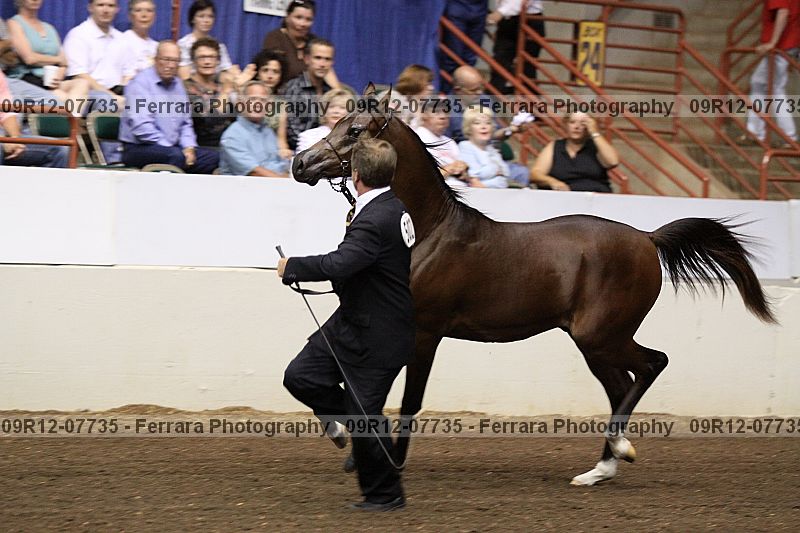 Proof 09r12-07735