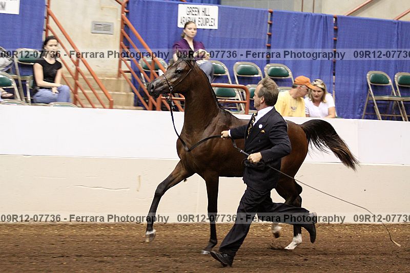 Proof 09r12-07736