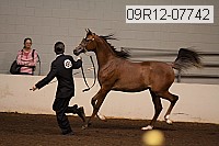 09r12-07742 proof
