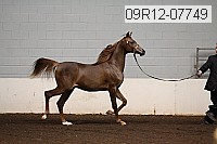 09r12-07749 proof