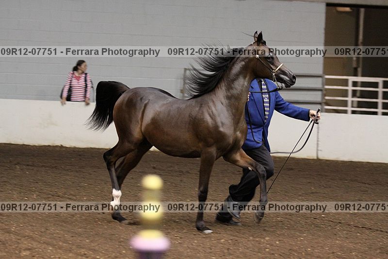 Proof 09r12-07751