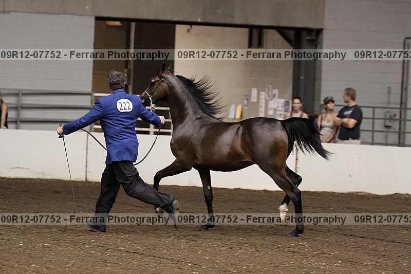 Proof 09r12-07752
