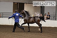 09r12-07752 proof