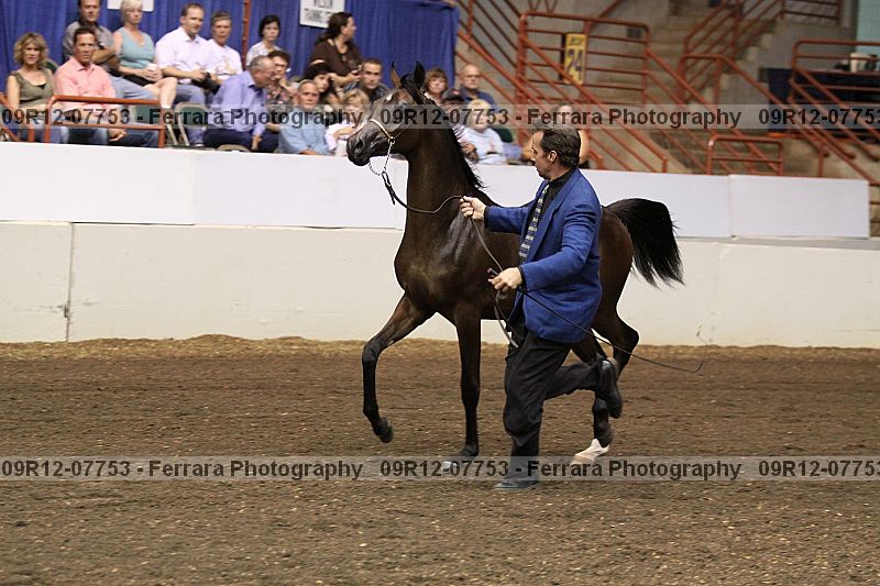 Proof 09r12-07753