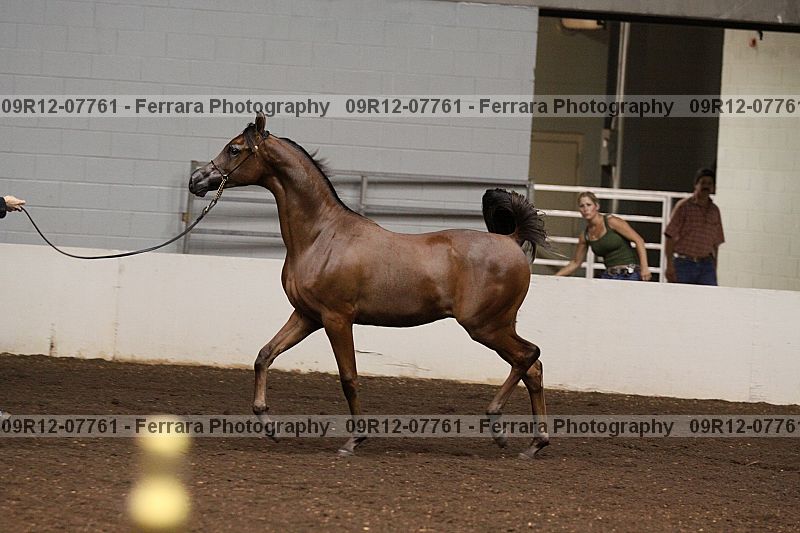 Proof 09r12-07761