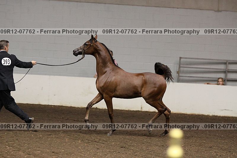 Proof 09r12-07762